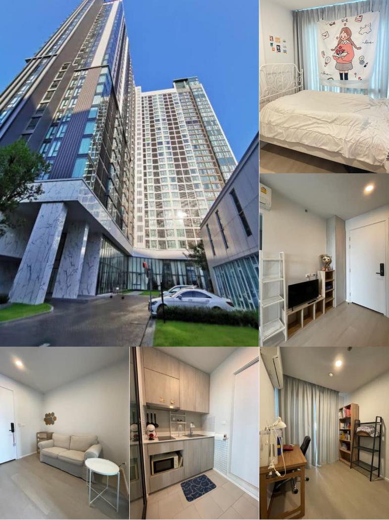 โครงการ คอนโดเซียล่า ศรีปทุม Ciela sripatum Apartment ขนาด 1 ห้องนอน 1 ห้องน้ำ 1 ห้องเอนกประสงค์ 1 bed plus 1 bed 1 bath 1 ...